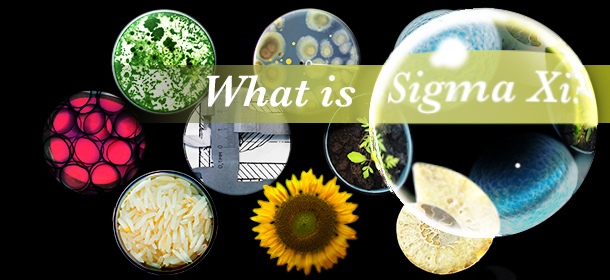 Sigma Xi The Scientific Research Honor Society